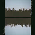 the album cover for Maggie Rogers - Now That The Light Is Fading EP [10in Vinyl]