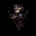 the album cover for Natalia Clavier - Trans