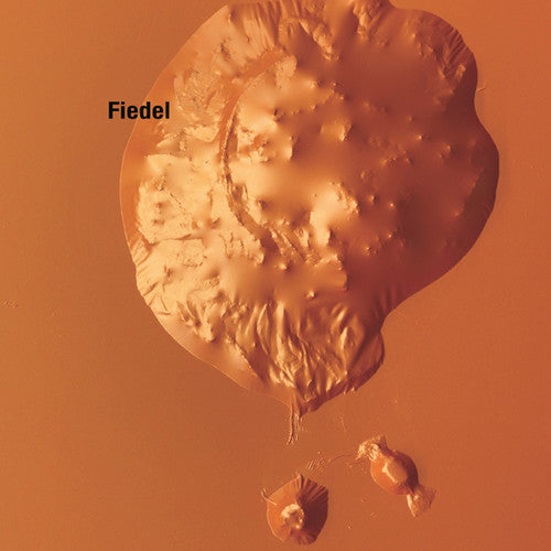 the album cover for Fiedel - Substance B