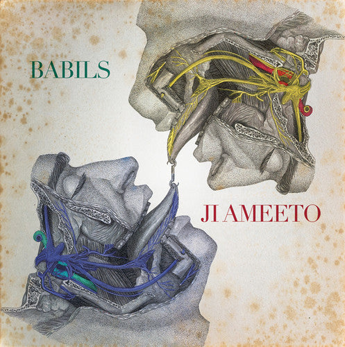 the album cover for Babils - Ji Ameeto