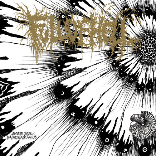 the album cover for Full Of Hell - Amber Mote In The Black Vault (Gold Vinyl)