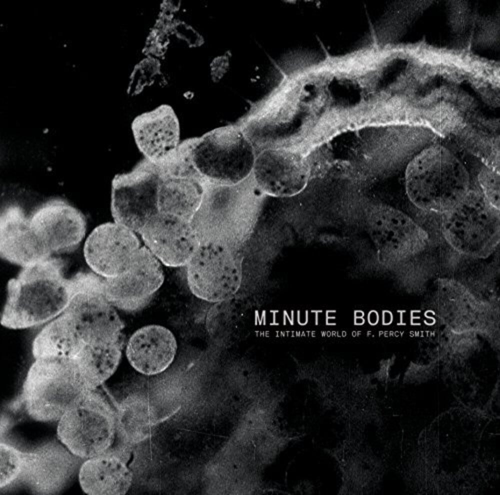 the album cover for Tindersticks - Minute Bodies: The Intimate World of F. Percy Smith [LP]