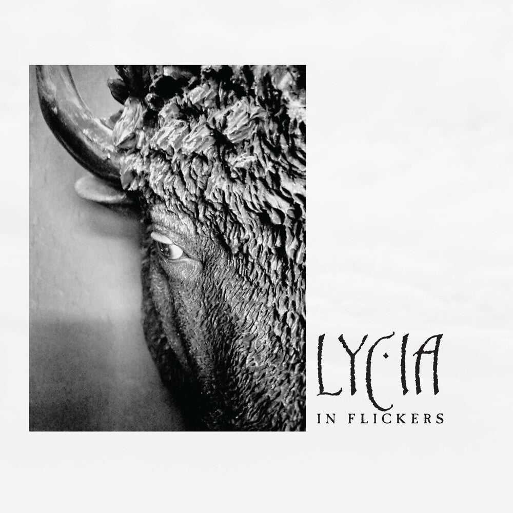 the album cover for Lycia - In Flickers [Limited Edition] [Digipak]