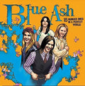 the album cover for Blue Ash - 15 Number Ones In A Perfect World (Uk)