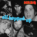 the album cover for NRBQ - All Hopped Up