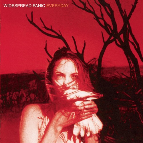 the album cover for Widespread Panic - Everyday