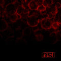 the album cover for OSI - Blood