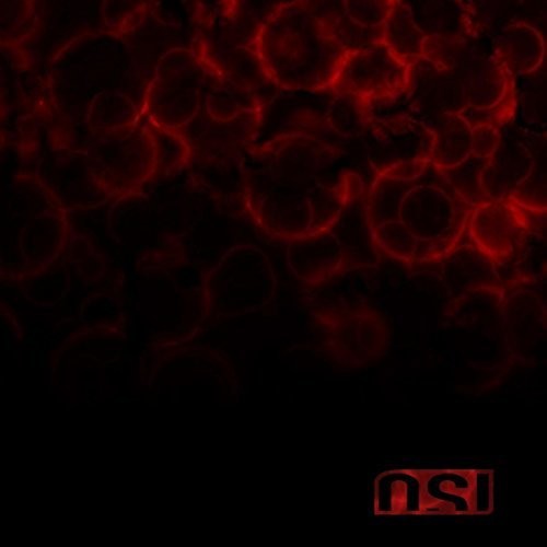 the album cover for OSI - Blood