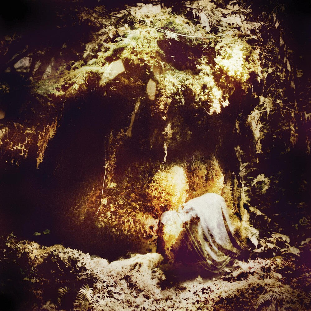 the album cover for Wolves In The Throne Room - Celestial Lineage