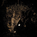 the album cover for Wolves In The Throne Room - Two Hunters