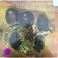 the album cover for The Turtles - More Golden Hits