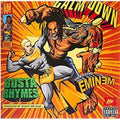 the album cover for Busta Rhymes - Calm Down