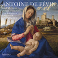 the album cover for Brabant Ensemble / Stephen Rice - Fevin: Missa Ave Maria Missa Salve Sancta Parens