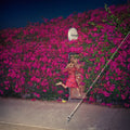 the album cover for Feist - Pleasure [2LP]