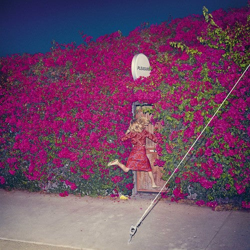 the album cover for Feist - Pleasure
