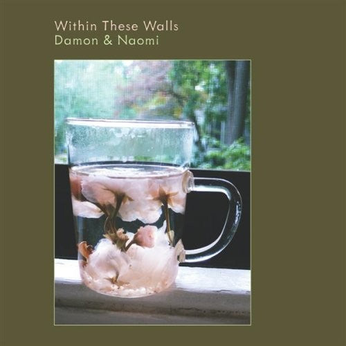 the album cover for Damon & Naomi - Within These Walls