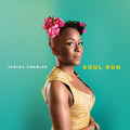 the album cover for Tanika Charles - Soul Run