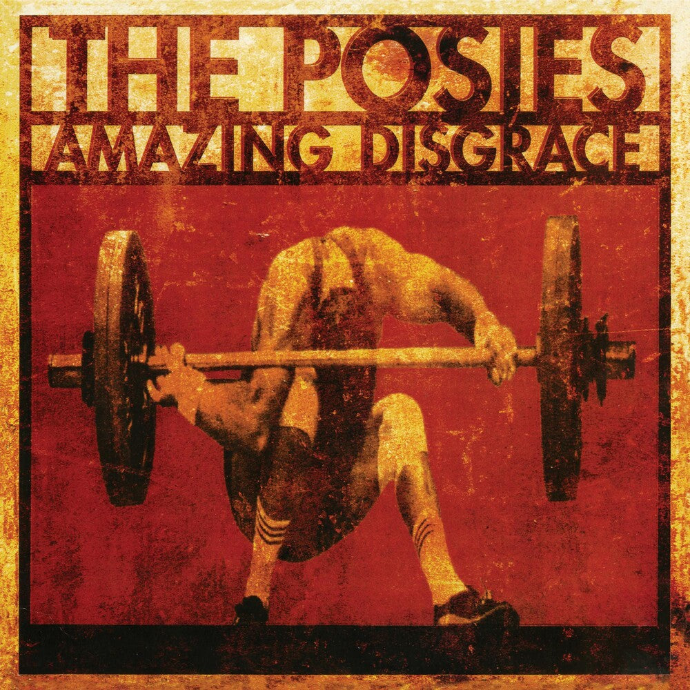 the album cover for Posies - Amazing Disgrace