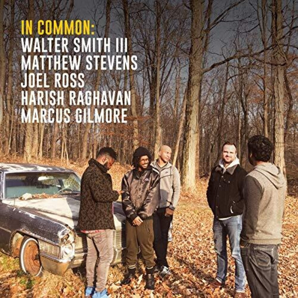 the album cover for Matthew Stevens / Smith Iii,Walter - In Common