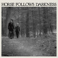 the album cover for Delia Gonzalez - Horse Follows Darkness