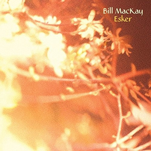 the album cover for Bill MacKay - Esker