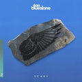 the album cover for Ilan Bluestone - Ilan Bluestone - Scars