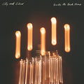 the album cover for City And Colour - Guide Me Back Home [3LP]