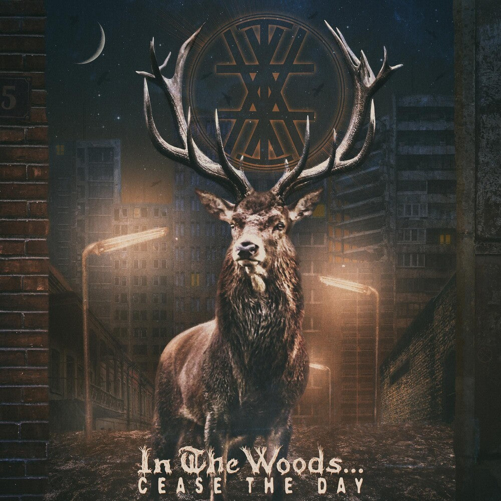the album cover for In The Woods - Cease The Day