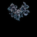 the album cover for A Lot Like Birds - Divisi [LP]