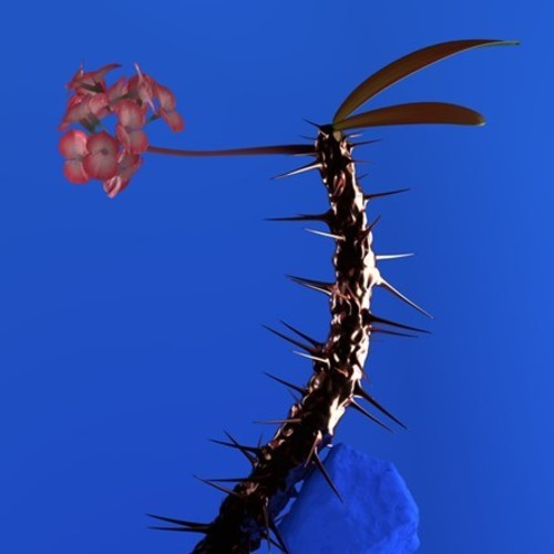 the album cover for Flume - Skin Companion EP II [Vinyl]