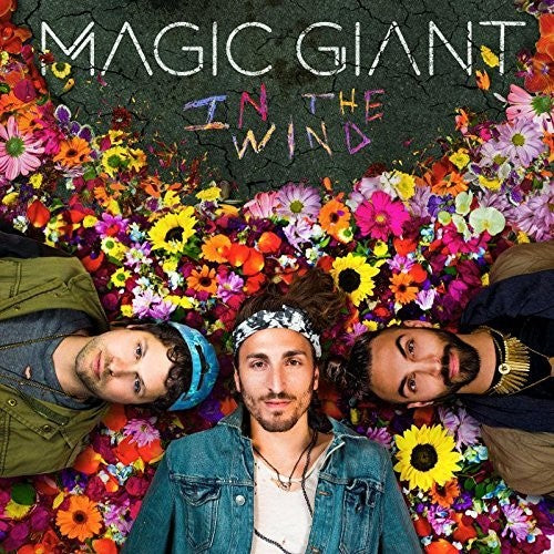 the album cover for Magic Giant - In The Wind