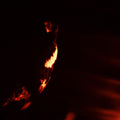 the album cover for Skepticism - Stormcrowfleet