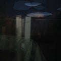 the album cover for Demen - Nektyr