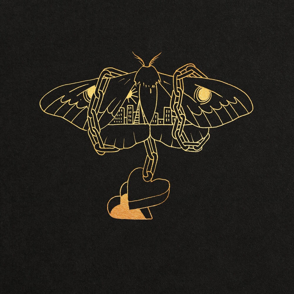 the album cover for David Gray - Gold in a Brass Age