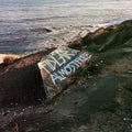 the album cover for FIDLAR - Almost Free [Indie Exclusive Limited Edition Green LP]