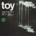 the album cover for Toy - Happy In The Hollow (Blue) [Colored Vinyl] [Indie Exclusive]