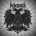the album cover for Behemoth - Abyssus Abyssum Invocat