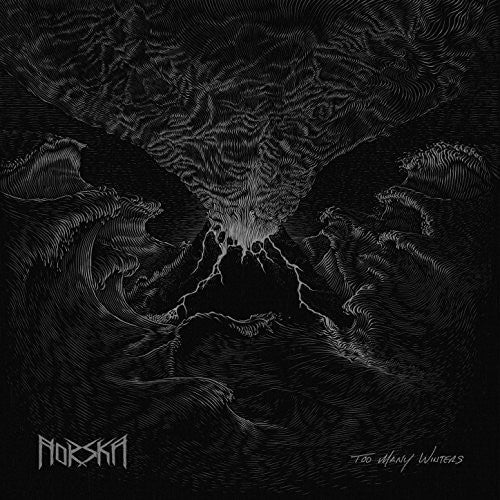 the album cover for Norska - Too Many Winters