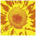 the album cover for Oneida - Each One Teach One [Colored Vinyl] [Limited Edition] (Can)