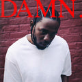 the album cover for Kendrick Lamar - Damn. [Clean]