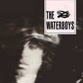 the album cover for The Waterboys - Waterboys