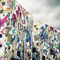 the album cover for The Dandy Warhols - Why You So Crazy [LP]