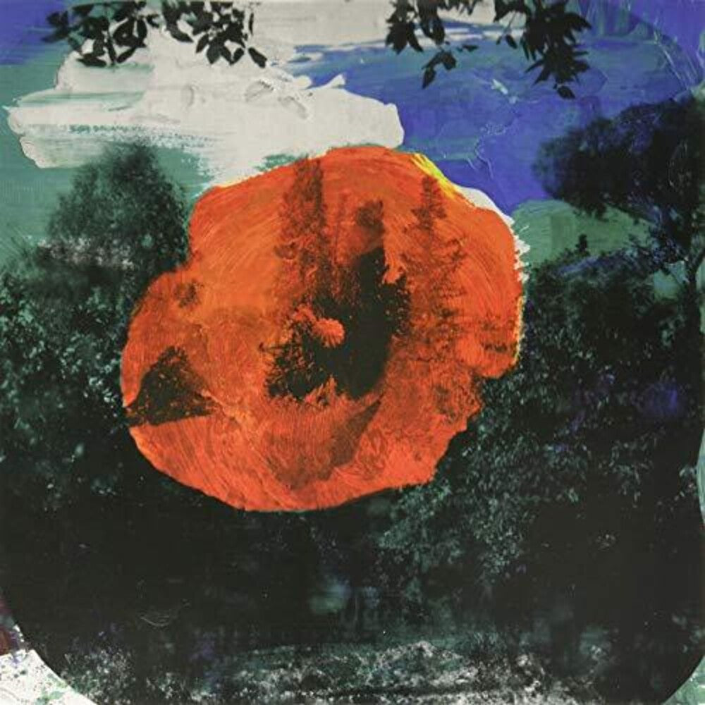 the album cover for Mystic Braves - Great Unknown