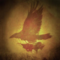 the album cover for Arstidir - Svefns Og Voku Skil