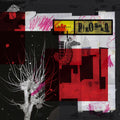 the album cover for Piroshka - Brickbat