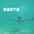 the album cover for SUSTO - Susto [LP]