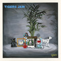 the album cover for Tigers Jaw - Spin [Turquoise LP]