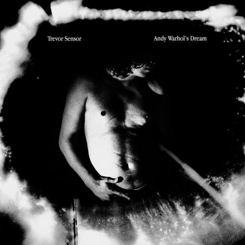 the album cover for Trevor Sensor - Andy Warhol's Dream [Metallic Silver LP]