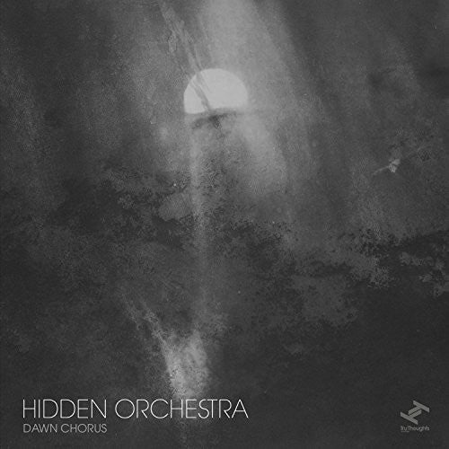 the album cover for Hidden Orchestra - Dawn Chorus