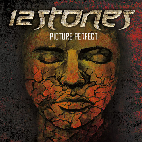 the album cover for 12 Stones - Picture Perfect